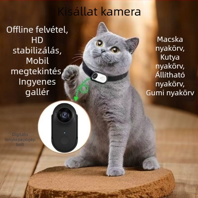 Háziállat nyakörv kamera – mini, HD felbontású akciókamera kerékpározáshoz és felvételek készítéséhez