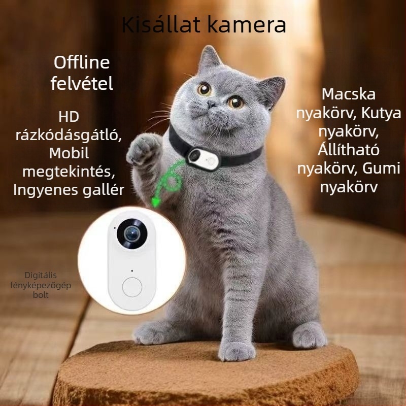 Háziállat nyakörv kamera – mini, HD felbontású akciókamera kerékpározáshoz és felvételek készítéséhez