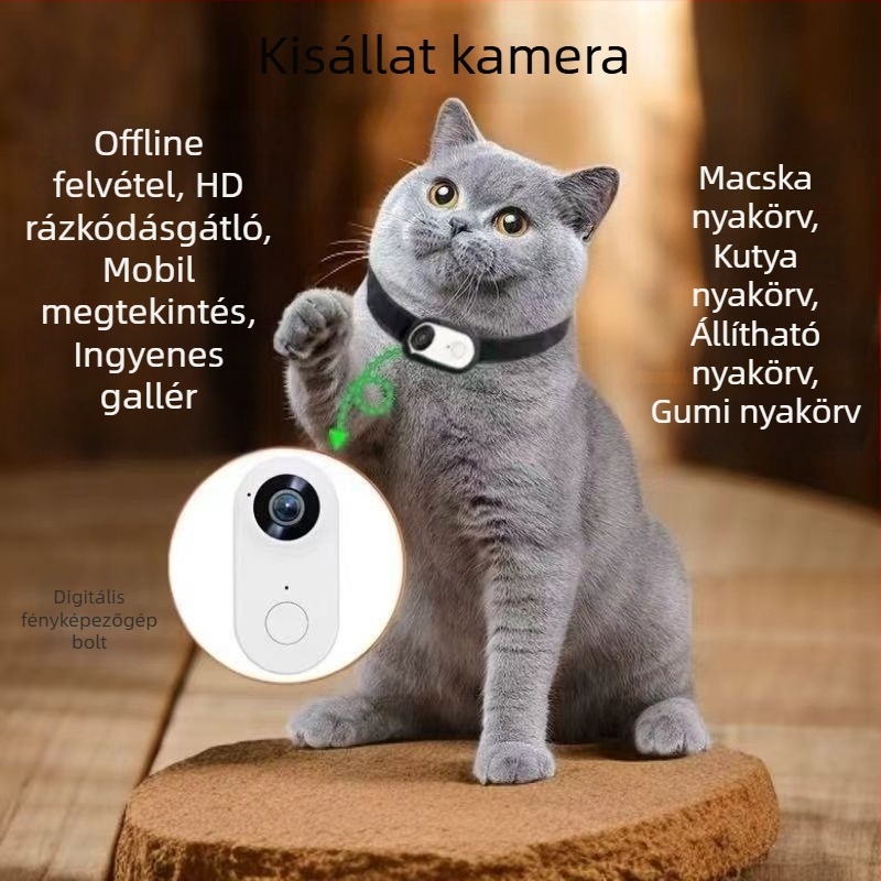 Háziállat nyakörv kamera – mini, HD felbontású akciókamera kerékpározáshoz és felvételek készítéséhez