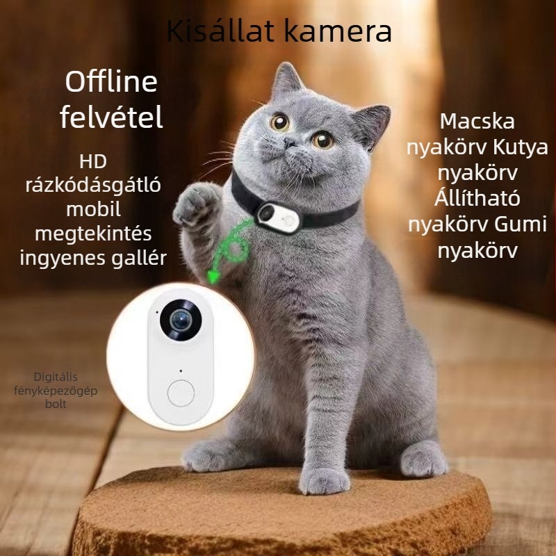 Háziállat nyakörv kamera – mini, HD felbontású akciókamera kerékpározáshoz és felvételek készítéséhez
