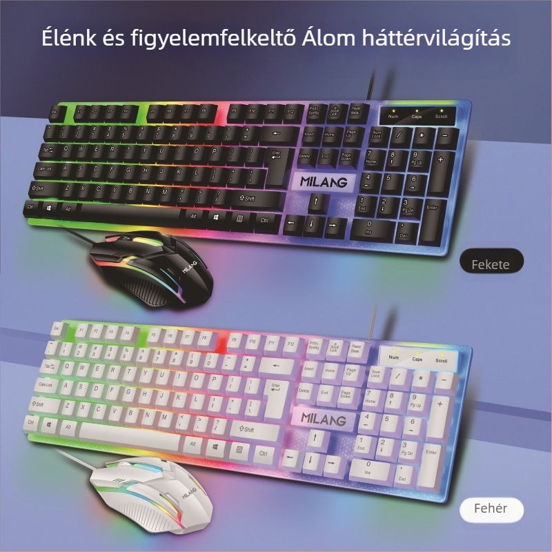 Vezetékes billentyűzet és egér készlet (104 gomb, USB interfész, membrán billentyűzet, több színű háttérvilágítás)