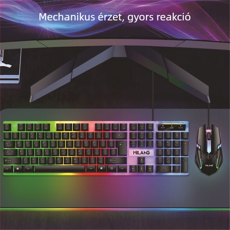 Vezetékes billentyűzet és egér készlet (104 gomb, USB interfész, membrán billentyűzet, több színű háttérvilágítás)