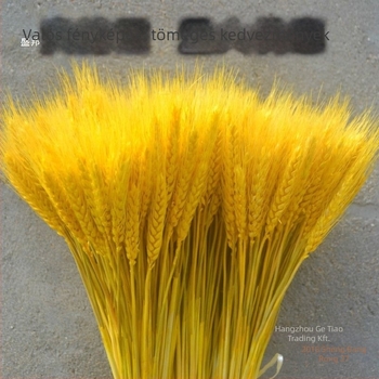 Szárított virágok zacskóba – festett, dekoratív száraz virágok