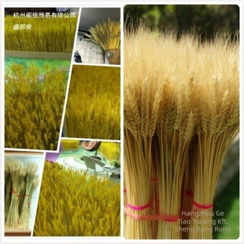 Szárított virágok zacskóba – festett, dekoratív száraz virágok