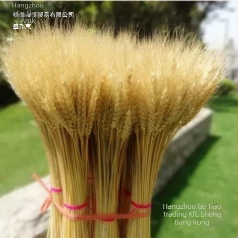 Szárított virágok zacskóba – festett, dekoratív száraz virágok