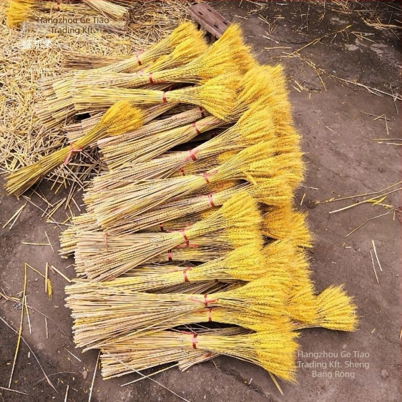 Szárított virágok zacskóba – festett, dekoratív száraz virágok