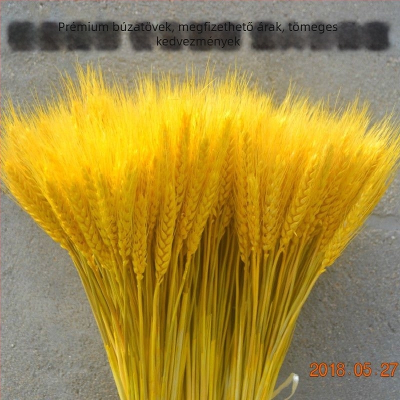 Szárított virágok zacskóba – festett, dekoratív száraz virágok