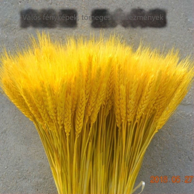 Szárított virágok zacskóba – festett, dekoratív száraz virágok