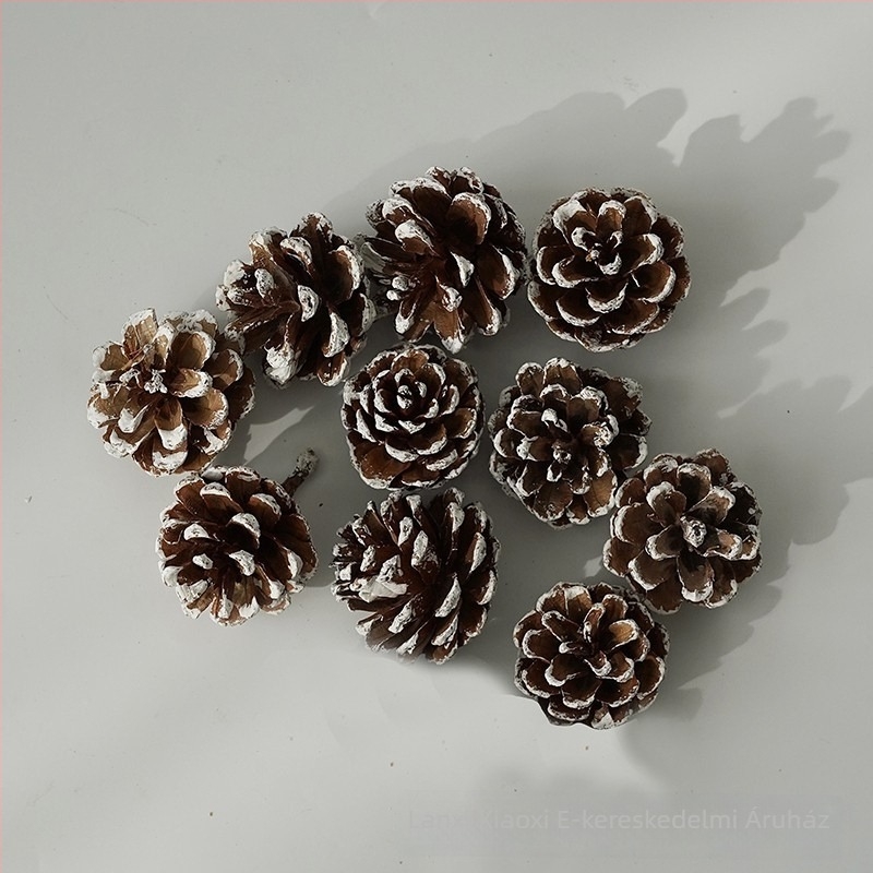Core karácsonyi fenyőfa dísz készlet fahéjjal – DIY szárított virágok anyagai és ajándékdoboz