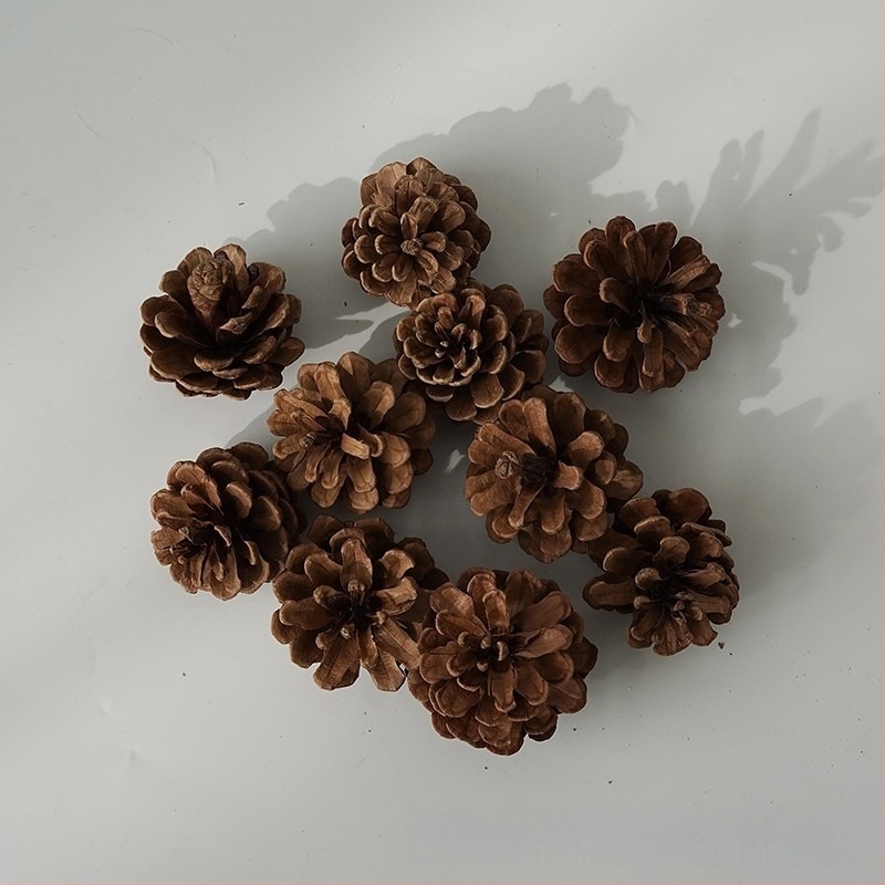 Core karácsonyi fenyőfa dísz készlet fahéjjal – DIY szárított virágok anyagai és ajándékdoboz