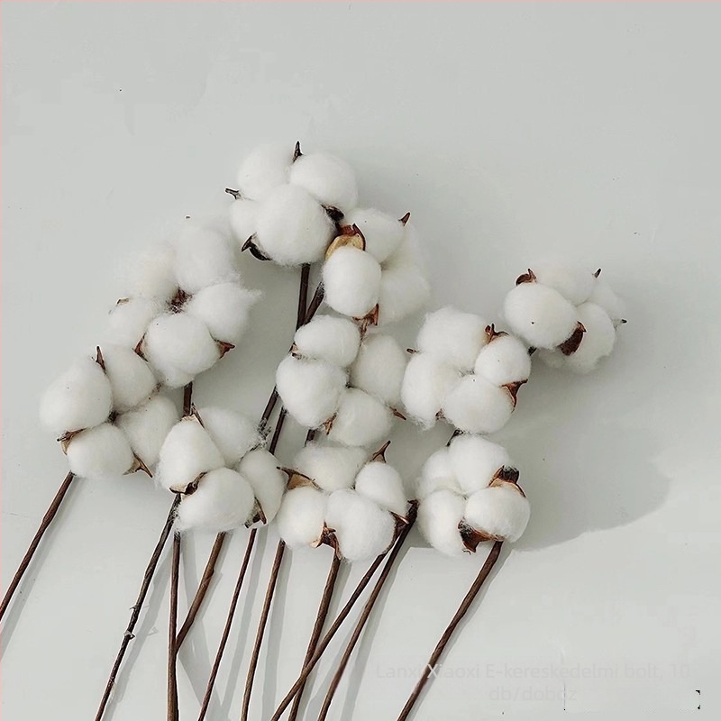 Core karácsonyi fenyőfa dísz készlet fahéjjal – DIY szárított virágok anyagai és ajándékdoboz