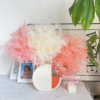 Lógó dekoratív virág, örök virág, Asparagus fajta — Beautiful flowers