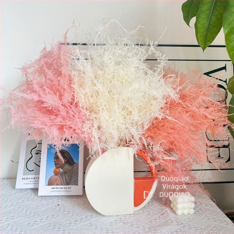 Lógó dekoratív virág, örök virág, Asparagus fajta — Beautiful flowers