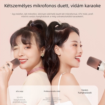 Bluetooth hangszóró TF-kártya támogatással, USB-C és Bluetooth 5.3; 2-csatornás hang, 100 Hz–20 kHz; kimenő teljesítmény <10 W; lejátszás 3–4 óráig; TF-kártya 32 GB-ig.