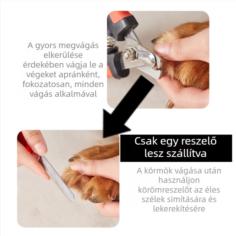 Kutyák és macskák körömvágó olló – kis, közepes és nagy testű kutyáknak