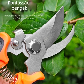 Ágvágó olló, gyümölcsszedő olló és bonsai metszőolló a gyümölcsfák kertészkedéséhez