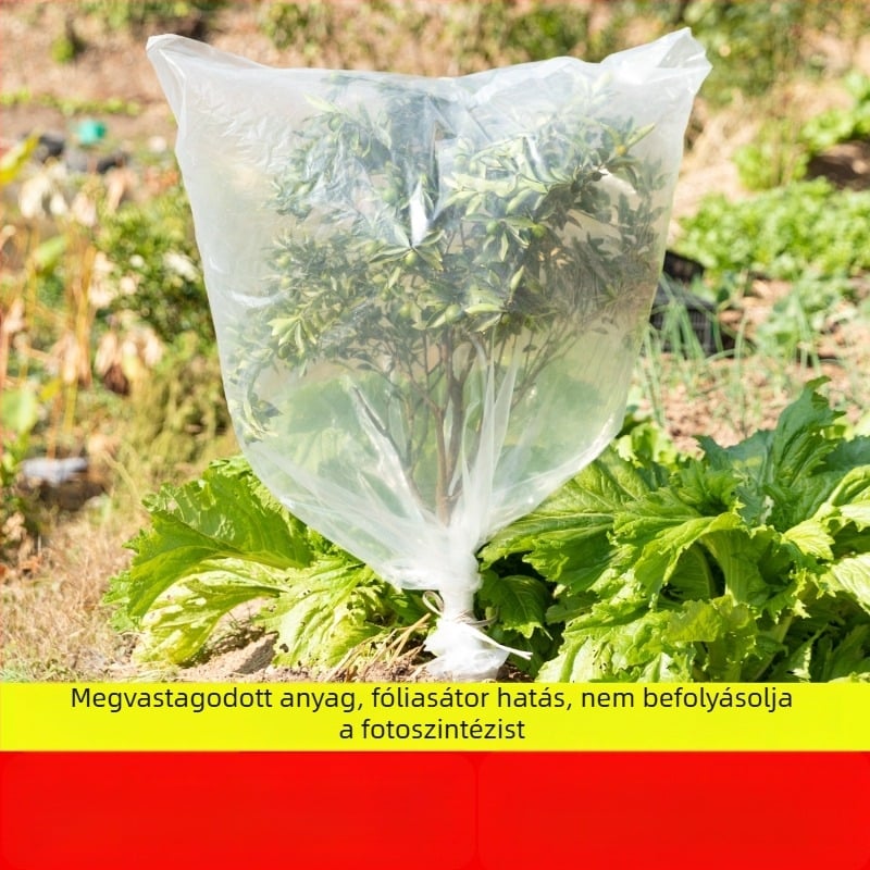 Téli növényi védőfedél – átlátszó műanyag izolációs borítás gyümölcsfákhoz, zöld növényekhez és virágokhoz (por- és vízálló, fagyálló) – Living Together