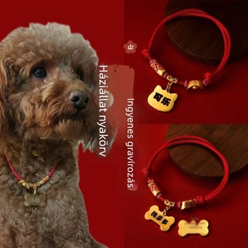 Állati anti-eltűnés nyaklánc koi gravírozással, gyanta anyagú, macskák számára, hercegnő-stílus