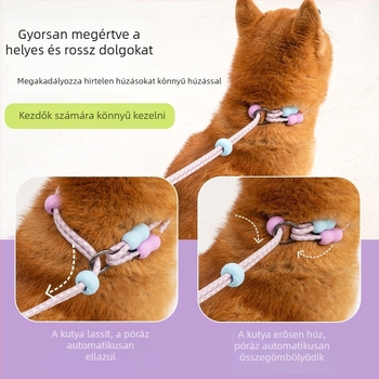 Nylonból készült behúzható kutyapóráz, dupla szálú, többfunkciós, kopásálló, nagytestű kutyáknak, modell Zlco-046