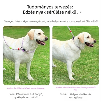 Nylonból készült behúzható kutyapóráz, dupla szálú, többfunkciós, kopásálló, nagytestű kutyáknak, modell Zlco-046