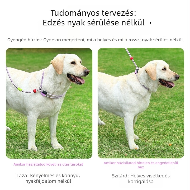 Nylonból készült behúzható kutyapóráz, dupla szálú, többfunkciós, kopásálló, nagytestű kutyáknak, modell Zlco-046