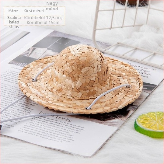 Macskáknak szóló nyugati stílusú cowboy sapka — gyapjú, négy évszakos