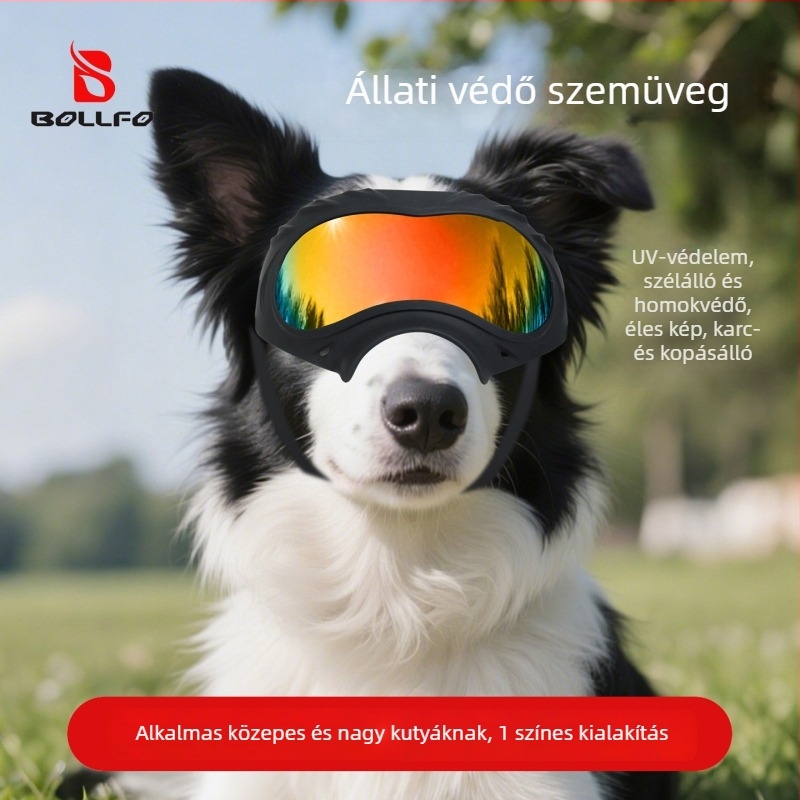 Bollfo kutyaugatók – UV védelem, szélálló, kültéri használatra, polikarbonát keret