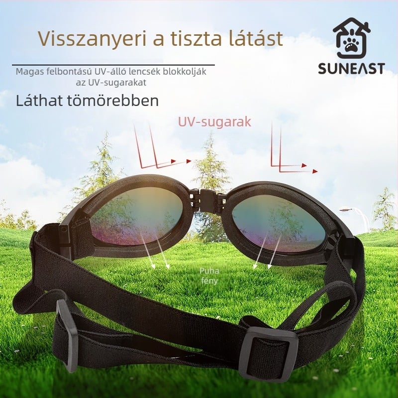 Kutyák számára készült szemüveg – szélvédett háziállat szemüveg; Anyag: Egyéb; Alkalmazható: Általános célú; Importált: Nem; IP engedély: Nem
