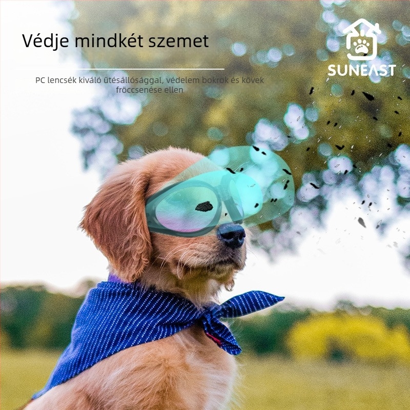 Kutyák számára készült szemüveg – szélvédett háziállat szemüveg; Anyag: Egyéb; Alkalmazható: Általános célú; Importált: Nem; IP engedély: Nem