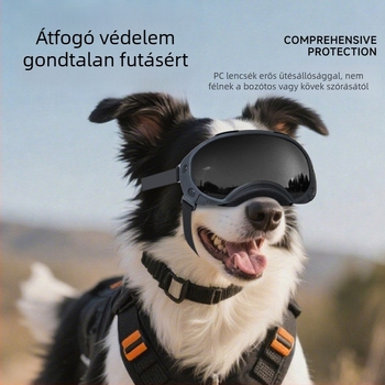 Bollfo BF801 kutya UV-védett, szélálló sport szemüveg kültéri edzéshez