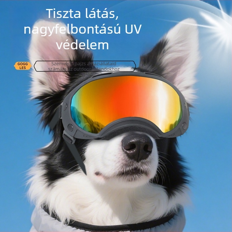 Bollfo BF801 kutya UV-védett, szélálló sport szemüveg kültéri edzéshez