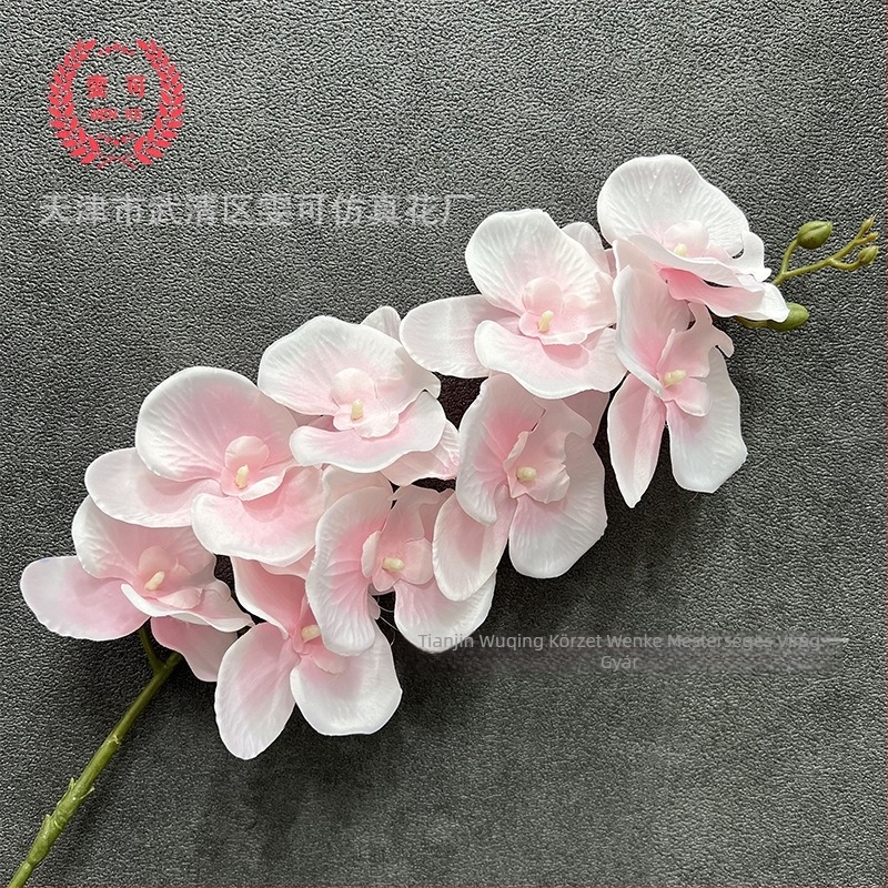 Kilencfejű mű orchid Phalaenopsis, 3D textúra, Hongwei márka, anyaga 20213, gyártási folyamat Injection Molding, faj Phalaenopsis. Ideális esküvőkre, kültérre, fotózásra és otthoni dekorációhoz.