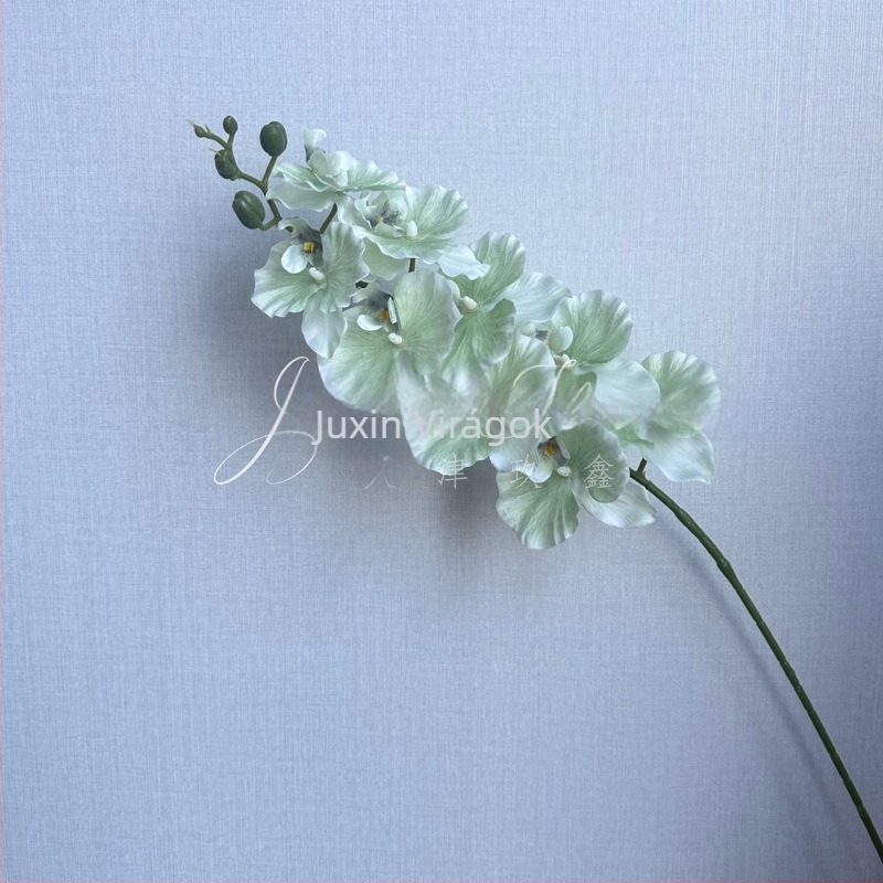 Phalaenopsis selyem virág – 3D orchidea film-textúrával; Anyag: selyem; Feldolgozás: injekciós öntés, öntés; Használat: esküvő, kültéri, fotó kellék, otthoni dekoráció