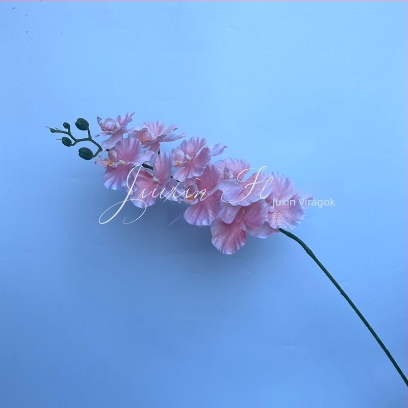 Phalaenopsis selyem virág – 3D orchidea film-textúrával; Anyag: selyem; Feldolgozás: injekciós öntés, öntés; Használat: esküvő, kültéri, fotó kellék, otthoni dekoráció