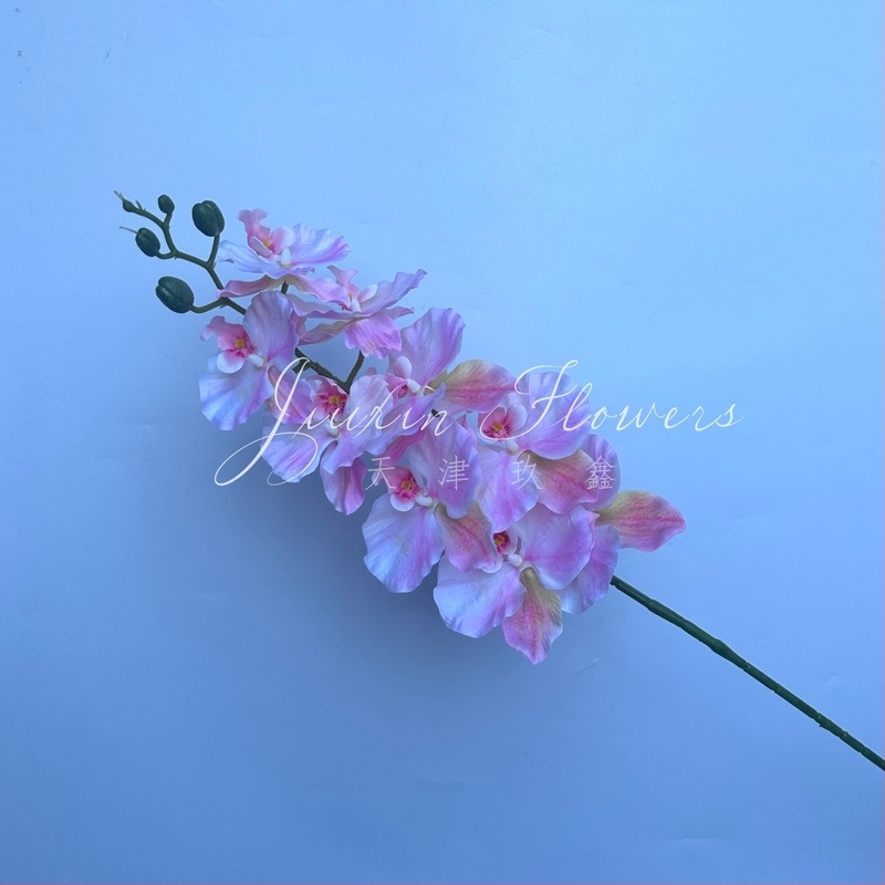 Phalaenopsis selyem virág – 3D orchidea film-textúrával; Anyag: selyem; Feldolgozás: injekciós öntés, öntés; Használat: esküvő, kültéri, fotó kellék, otthoni dekoráció