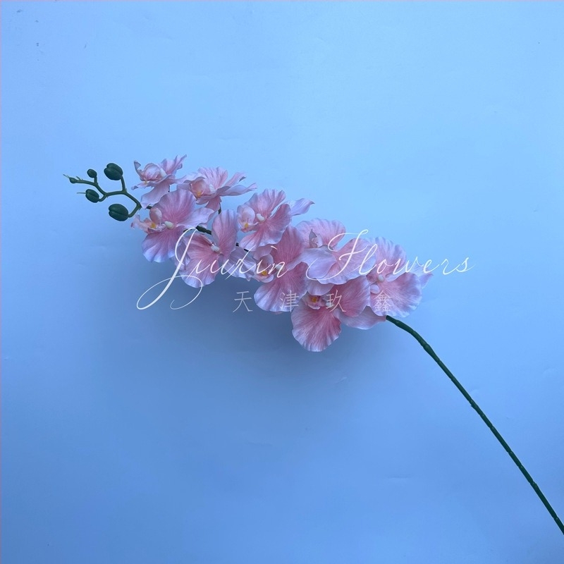 Phalaenopsis selyem virág – 3D orchidea film-textúrával; Anyag: selyem; Feldolgozás: injekciós öntés, öntés; Használat: esküvő, kültéri, fotó kellék, otthoni dekoráció