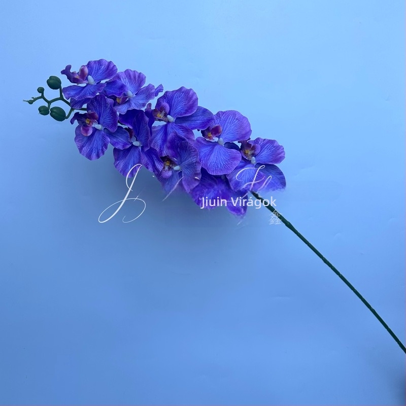Phalaenopsis selyem virág – 3D orchidea film-textúrával; Anyag: selyem; Feldolgozás: injekciós öntés, öntés; Használat: esküvő, kültéri, fotó kellék, otthoni dekoráció