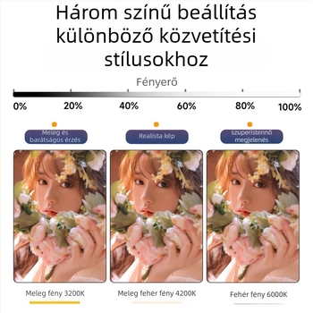 NP-28 LED Szépségfény Fotózáshoz, Négyszögletes Formájú, Hordozható Kézi Használatra Élő Közvetítéshez és Videófelvételhez, 10-50W, 5V, Beépített Akkumulátor