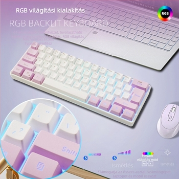 61 billentyűs vezetékes billentyűzet RGB háttérvilágítással, ABS billentyűkkel, USB interfész