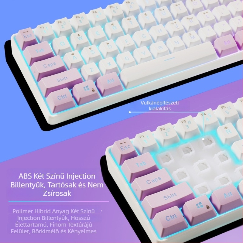 61 billentyűs vezetékes billentyűzet RGB háttérvilágítással, ABS billentyűkkel, USB interfész