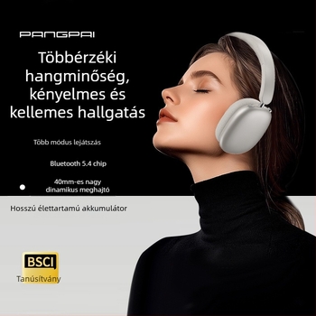 P859 Aktív zajszűrős vezeték nélküli fejhallgató, 40 mm meghajtók, 400mAh akkumulátor, 20–20kHz frekvenciatartomány