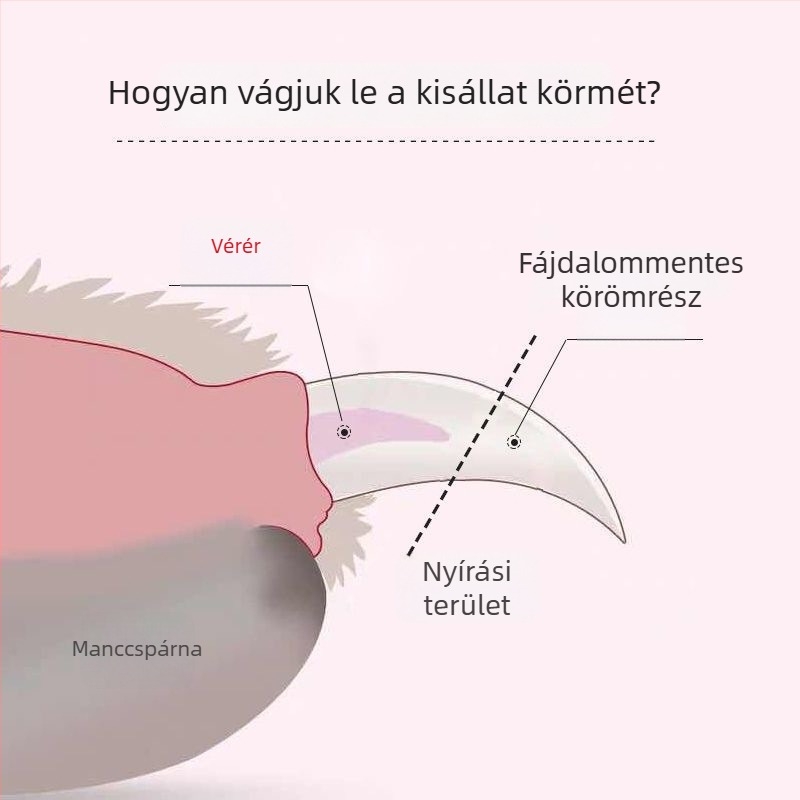 Kétfunkciós körömvágó macskáknak LED-es reszelővel