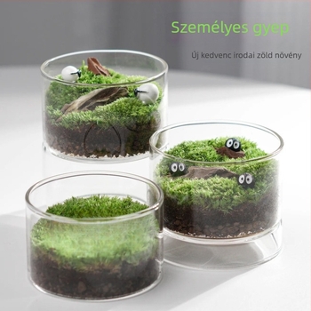 Moha terráriumüveg - DIY mini asztali dekoráció iroda és otthon számára, magas minőségű boroszilikát üveg, modell TB674839126224, üzleti ajándék