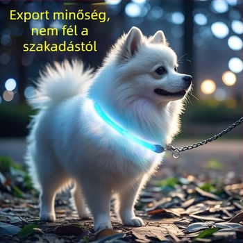 Fénylő kutyanyakörv éjszakai sétákhoz – alkalmas kis- és nagytestű kutyáknak