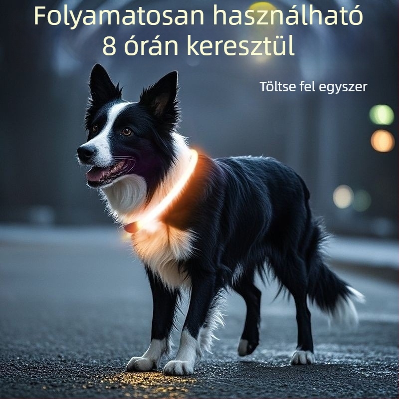 Fénylő kutyanyakörv éjszakai sétákhoz – alkalmas kis- és nagytestű kutyáknak