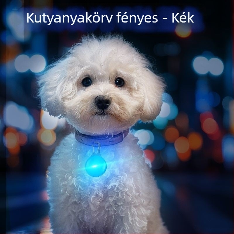 Fénylő kutyanyakörv éjszakai sétákhoz – alkalmas kis- és nagytestű kutyáknak