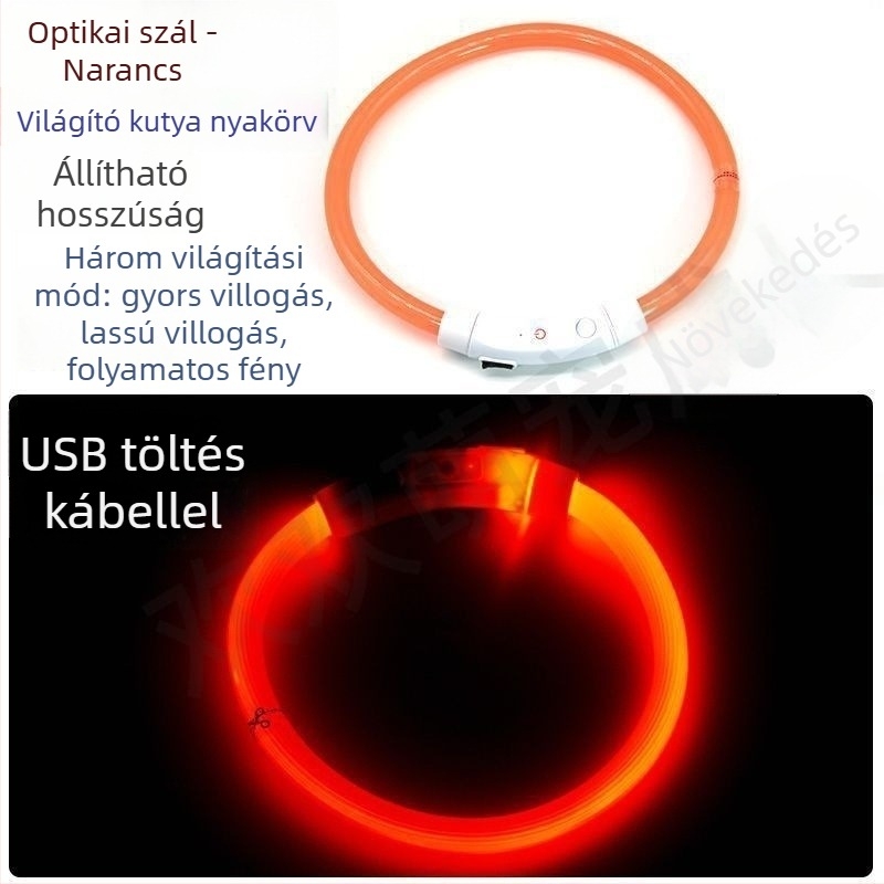 Fénylő kutyanyakörv éjszakai sétákhoz – alkalmas kis- és nagytestű kutyáknak