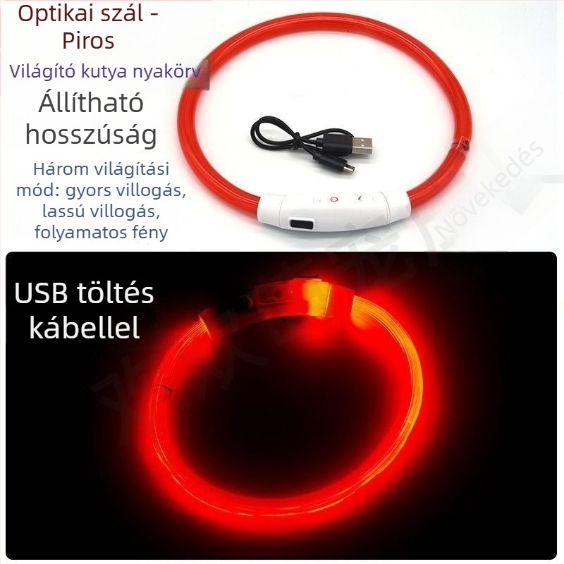 Fénylő kutyanyakörv éjszakai sétákhoz – alkalmas kis- és nagytestű kutyáknak