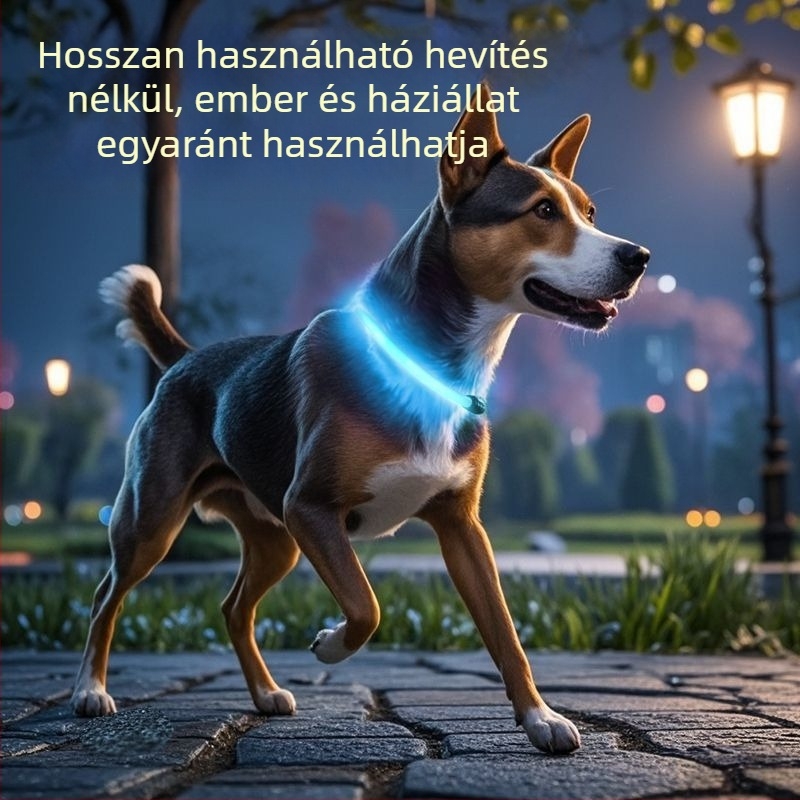 Fénylő kutyanyakörv éjszakai sétákhoz – alkalmas kis- és nagytestű kutyáknak