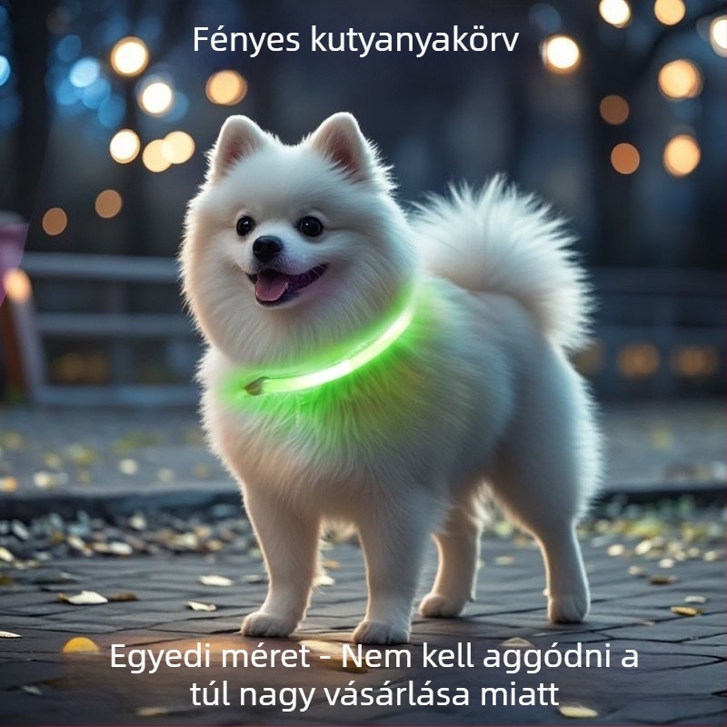 Fénylő kutyanyakörv éjszakai sétákhoz – alkalmas kis- és nagytestű kutyáknak